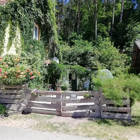 Violeta Dom wakacyjny Dambach