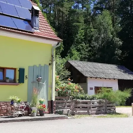Violeta Ferienhaus