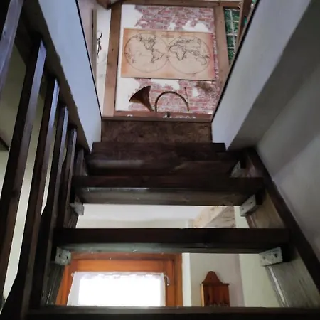 Violeta Dom wakacyjny