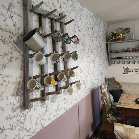 Dom wakacyjny Violeta