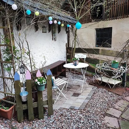 Dom wakacyjny Violeta